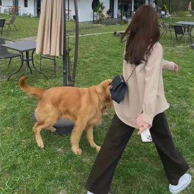 前妻第二季海报